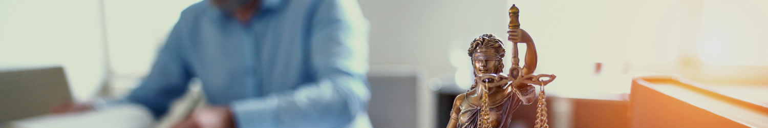 Banner image